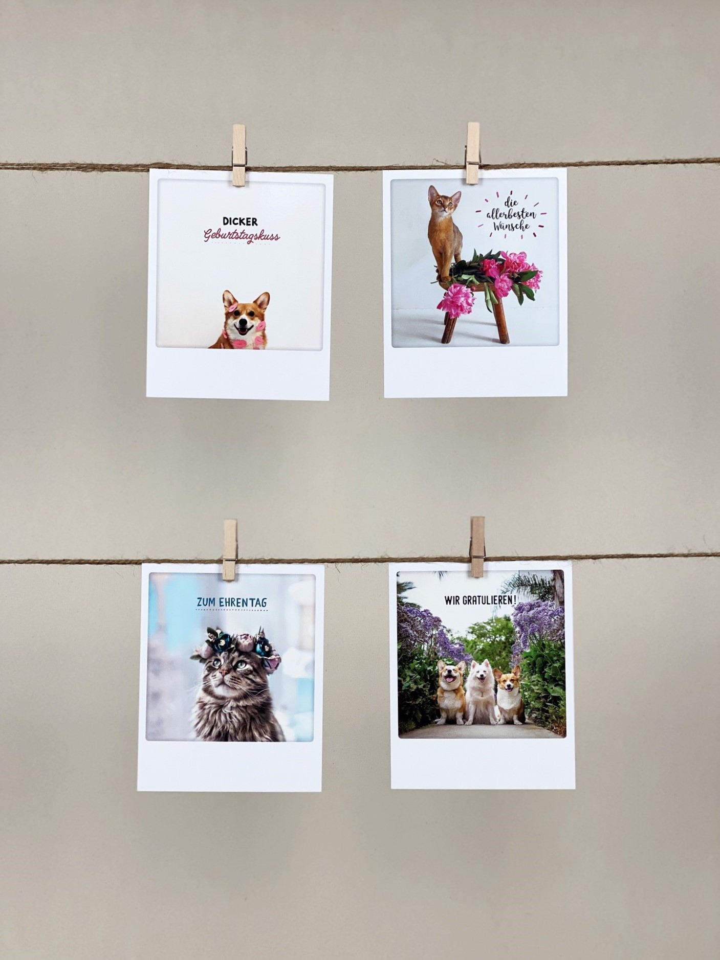 Polaroid-Karten-Set Geburtstag Tiere