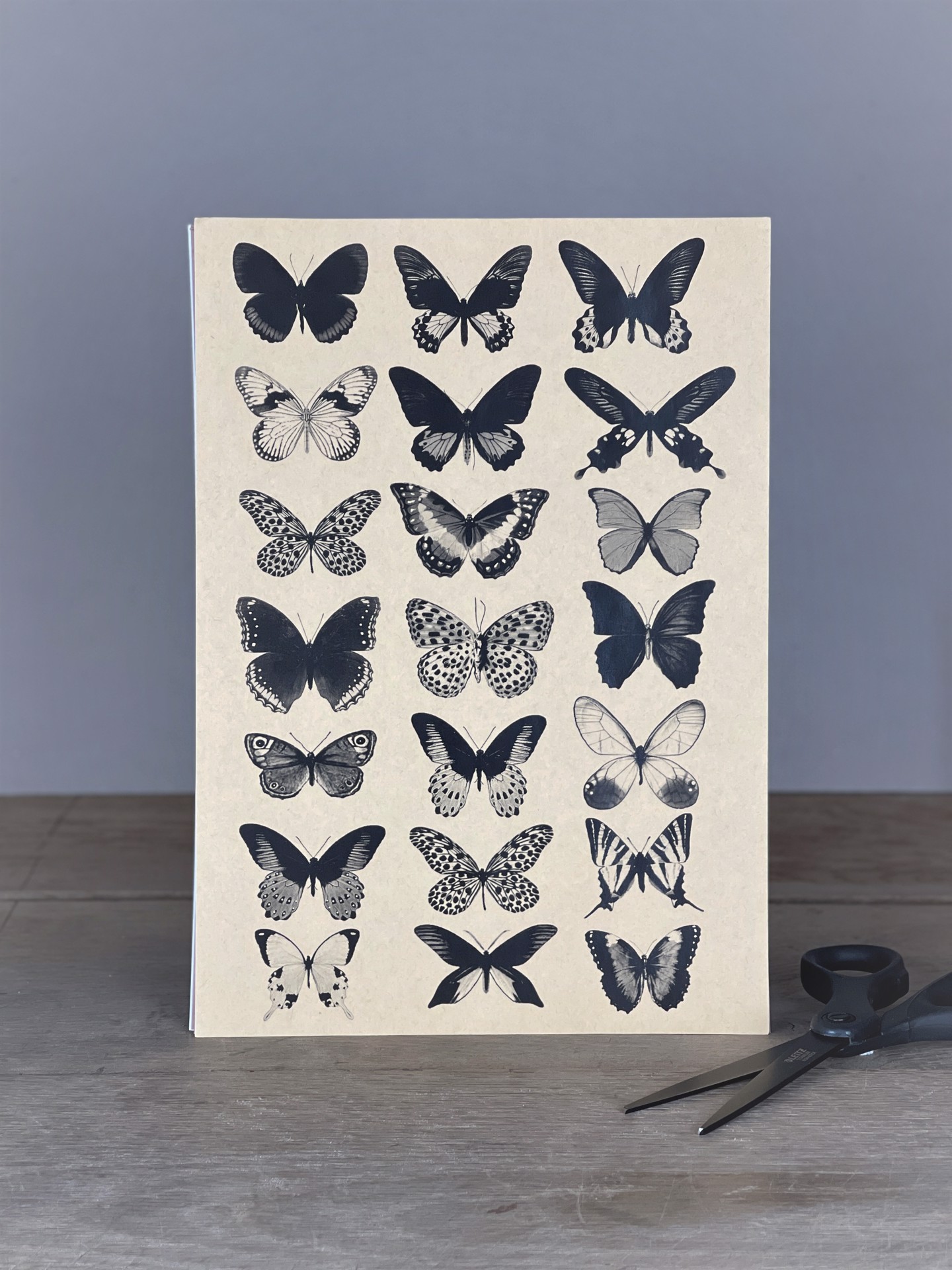 Stickersheet Schmetterlinge  schwarz-weiß
