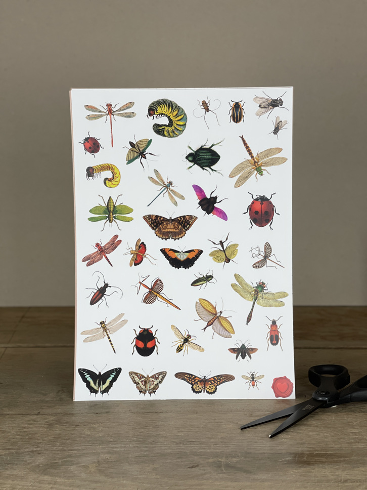 Stickersheet Insekten